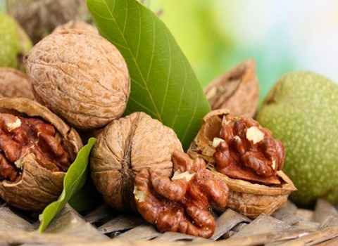تصویر 3 از خرید و قیمت مغز گردو فسنجانی  + فروش عمده